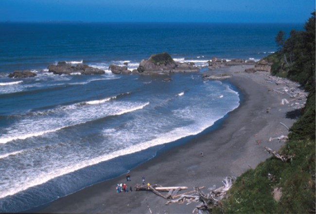 OLYM coastline@10x rocky pacific coast