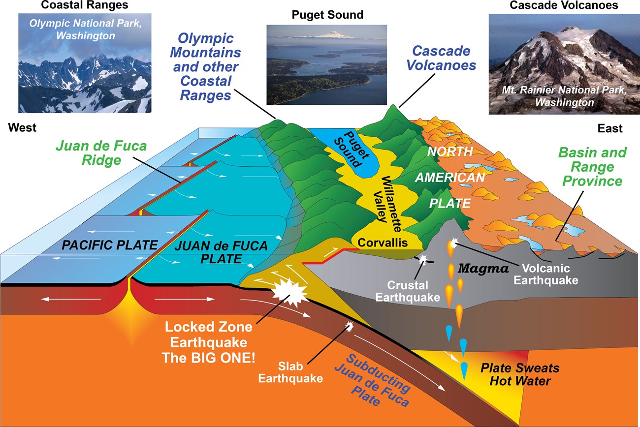 cascadia topo earthquakes and eruptions@10x 3D dagram of the pacific northwest showing earthquakes and eruptions