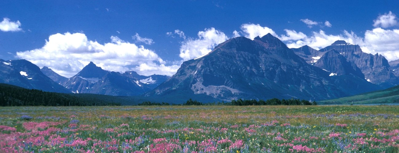 gri-photo-glac mountains and meadow