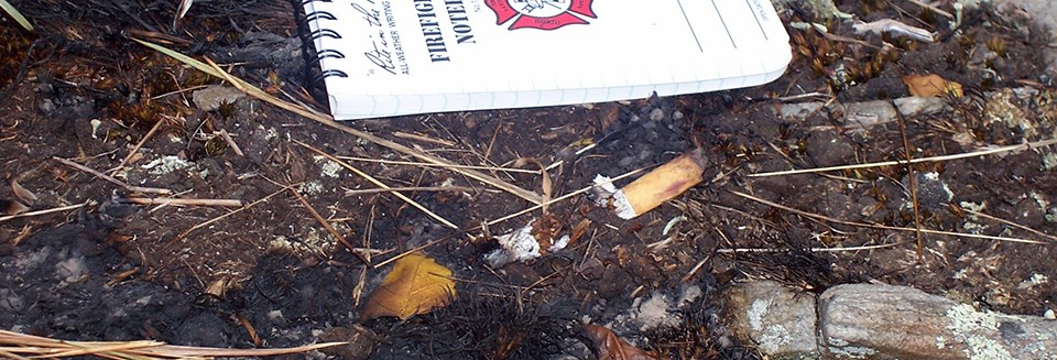 Cigarettes are one way humans can cause fires. Smashed cigarette on the ground near dried pine needles and burned area. A notebook provides scale.