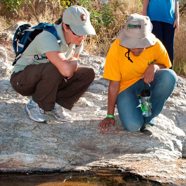 An adult and youth kneel next to water