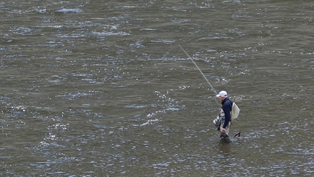 A person with a fishing rod and gear wades out into a river