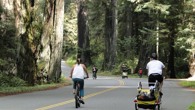 Many places are bike friendly.