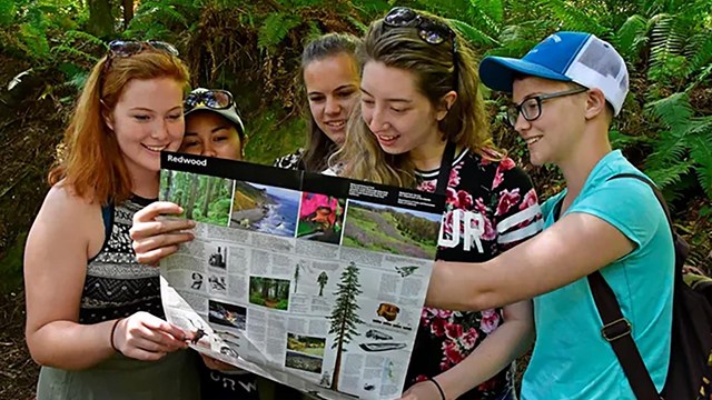 Four women read a park brochure