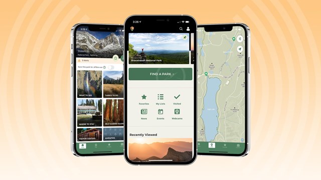 Three smartphones on an orange background showing different views of the NPS app.