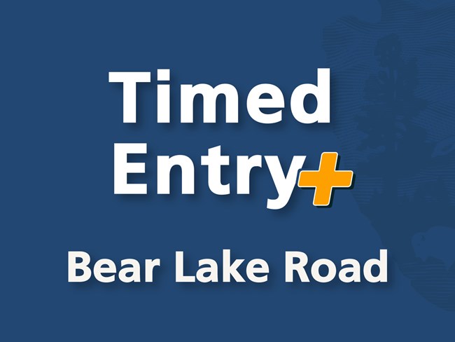 Timed Entry Website Tile_Timed Entry+