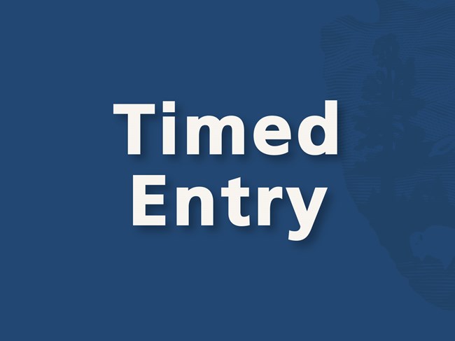 Timed Entry Website Tile