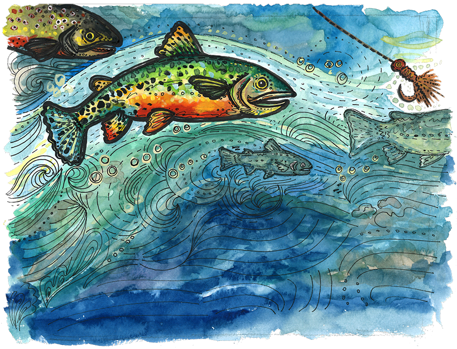 Rainbow trout swimming towards hook. Rainbow trout swimming towards hook.